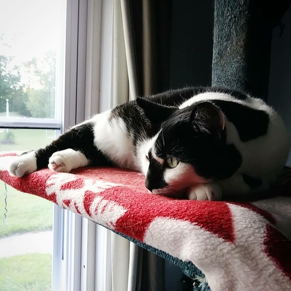 Meet your Posher, Melissa!! - Picture 6 of 9